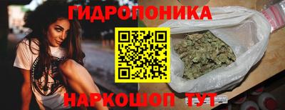 винт Обь