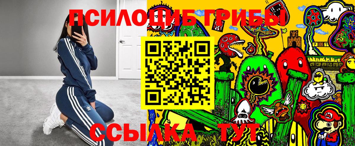 Псилоцибиновые грибы мицелий Севастополь