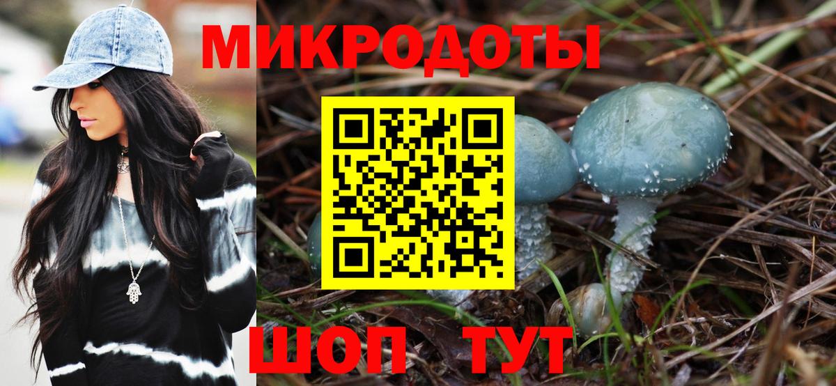 Галлюциногенные грибы Psilocybe  где найти   Севастополь  Вход с VPN 